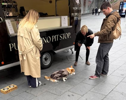 A dog entertains at the New Look Puppuccino Airstream pop-up event.